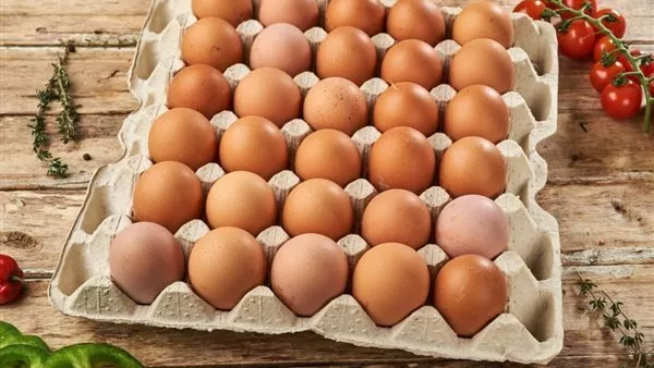 أسعار البيض اليوم