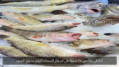 البلطي يبدأ من 78 جنيهًا في أسعار السمك اليوم بسوق العبور