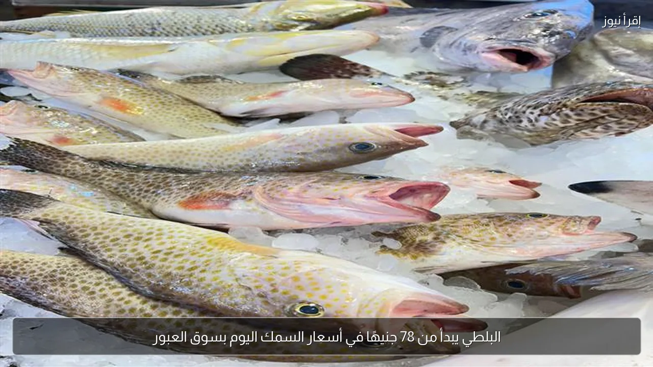 البلطي يبدأ من 78 جنيهًا في أسعار السمك اليوم بسوق العبور