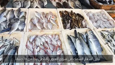 تباين أسعار السمك في سوق العبور والبلطي يبدأ من 74 جنيهًا