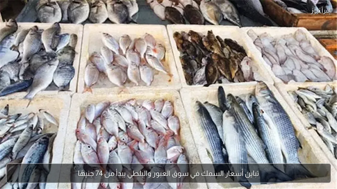 تباين أسعار السمك في سوق العبور والبلطي يبدأ من 74 جنيهًا
