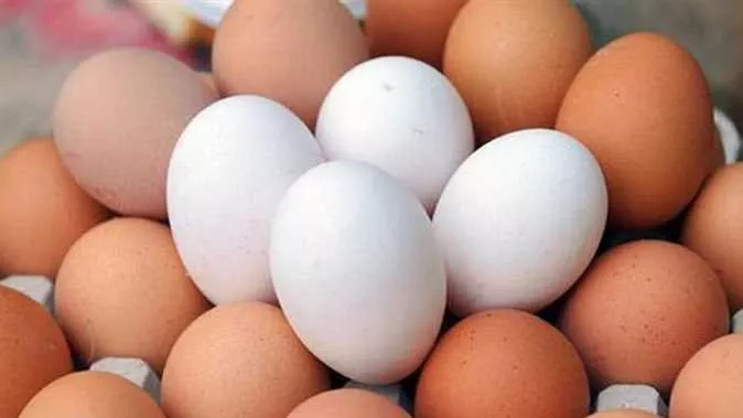 أسعار كرتونة البيض اليوم