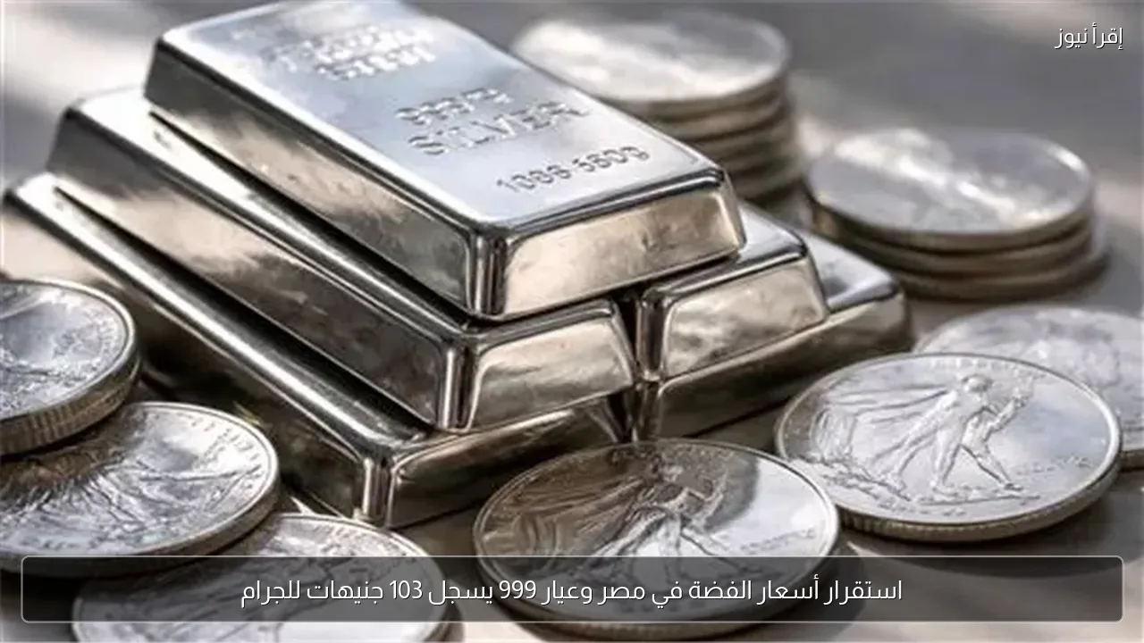 استقرار أسعار الفضة في مصر وعيار 999 يسجل 103 جنيهات للجرام