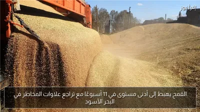 القمح يهبط إلى أدنى مستوى في 11 أسبوعًا مع تراجع علاوات المخاطر في البحر الأسود