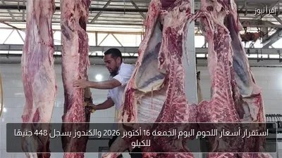 استقرار أسعار اللحوم اليوم الجمعة 16 أكتوبر 2026 والكندوز يسجل 448 جنيهًا للكيلو