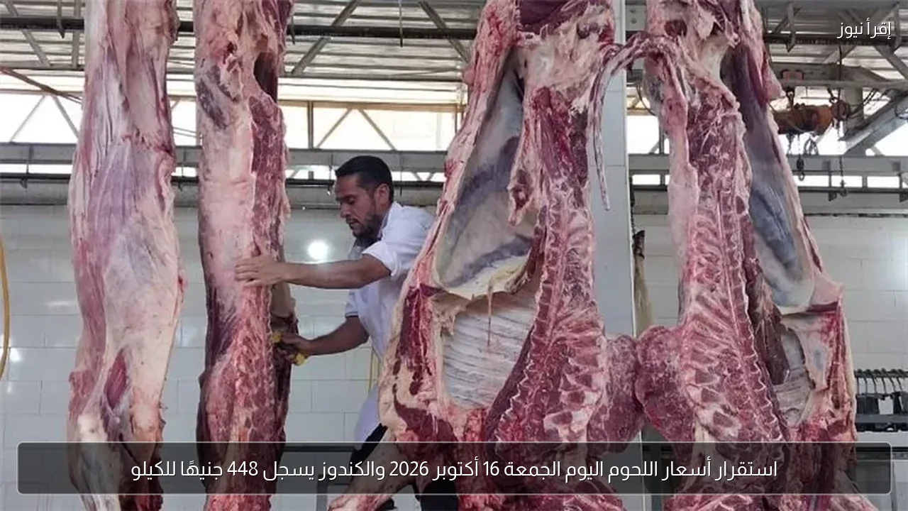 استقرار أسعار اللحوم اليوم الجمعة 16 أكتوبر 2026 والكندوز يسجل 448 جنيهًا للكيلو