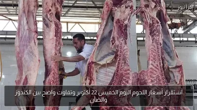 استقرار أسعار اللحوم اليوم الخميس 22 أكتوبر وتفاوت واضح بين الكندوز والضأن