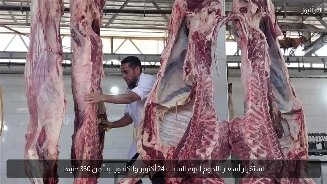 استقرار أسعار اللحوم اليوم السبت 24 أكتوبر والكندوز يبدأ من 330 جنيهًا