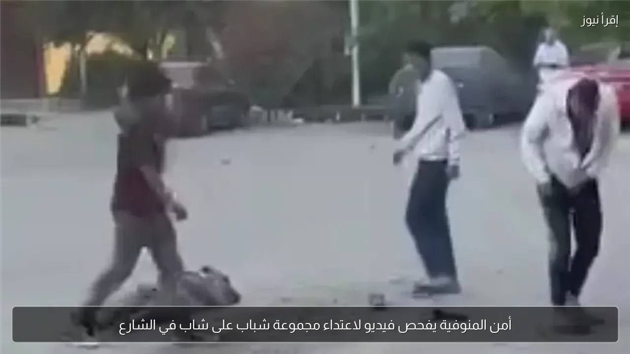 أمن المنوفية يفحص فيديو لاعتداء مجموعة شباب على شاب في الشارع