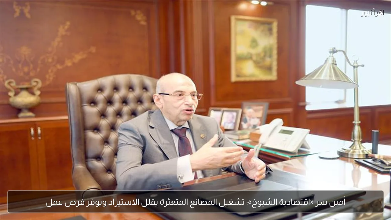أمين سر «اقتصادية الشيوخ»: تشغيل المصانع المتعثرة يقلل الاستيراد ويوفر فرص عمل
