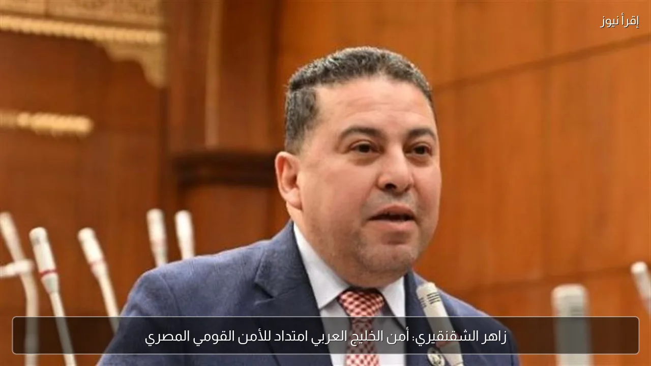 زاهر الشقنقيري: أمن الخليج العربي امتداد للأمن القومي المصري