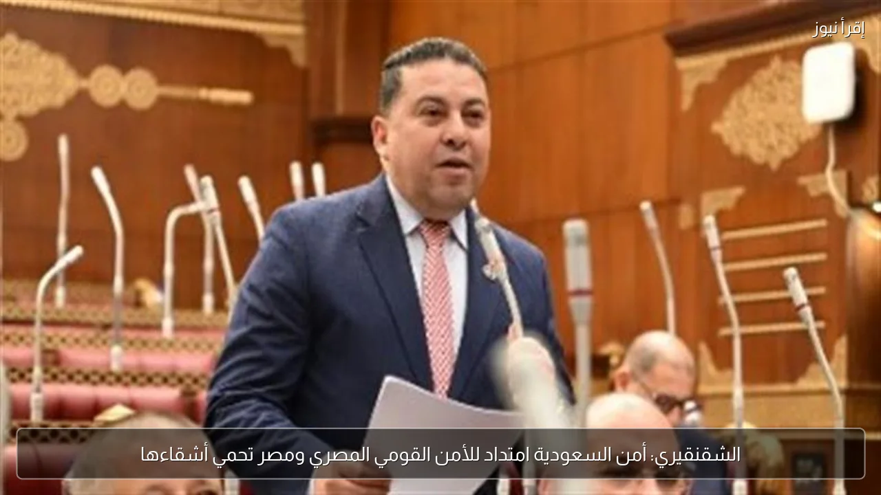 الشقنقيري: أمن السعودية امتداد للأمن القومي المصري ومصر تحمي أشقاءها