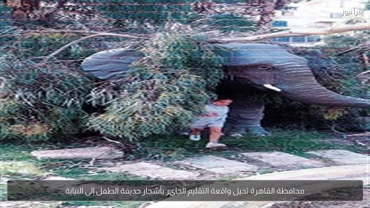 محافظة القاهرة تحيل واقعة التقليم الجائر بأشجار حديقة الطفل إلى النيابة