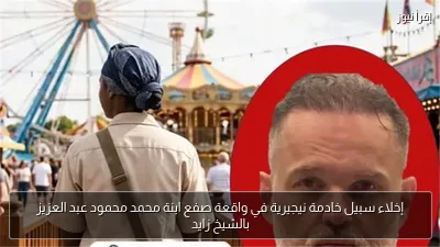 إخلاء سبيل خادمة نيجيرية في واقعة صفع ابنة محمد محمود عبد العزيز بالشيخ زايد