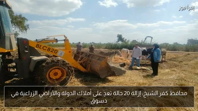 محافظ كفر الشيخ: إزالة 20 حالة تعدٍ على أملاك الدولة والأراضي الزراعية في دسوق