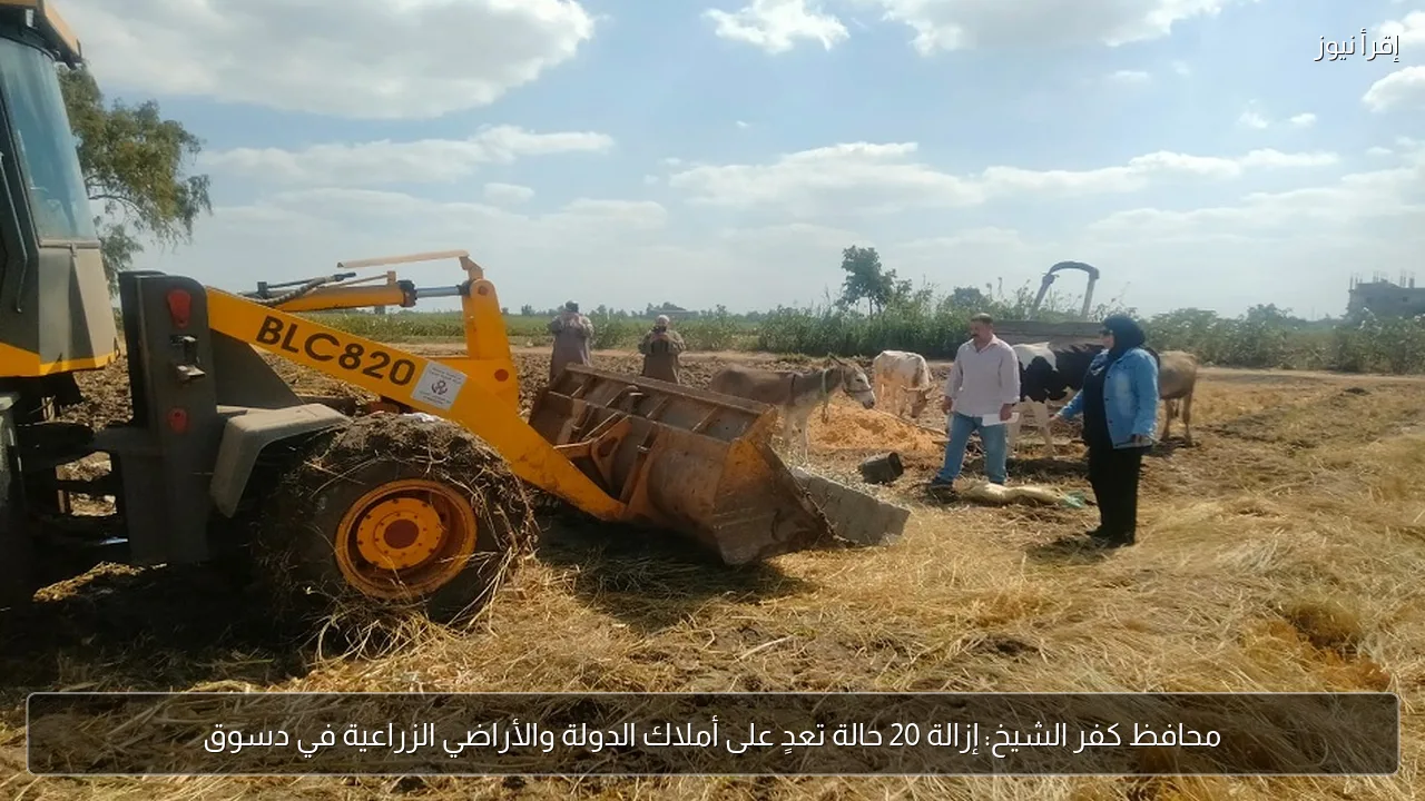 محافظ كفر الشيخ: إزالة 20 حالة تعدٍ على أملاك الدولة والأراضي الزراعية في دسوق