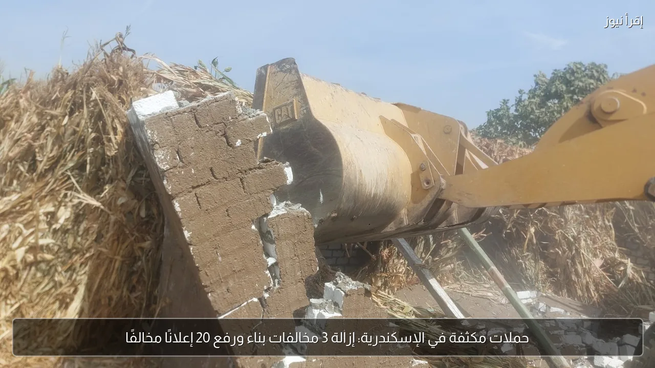 حملات مكثفة في الإسكندرية: إزالة 3 مخالفات بناء ورفع 20 إعلانًا مخالفًا