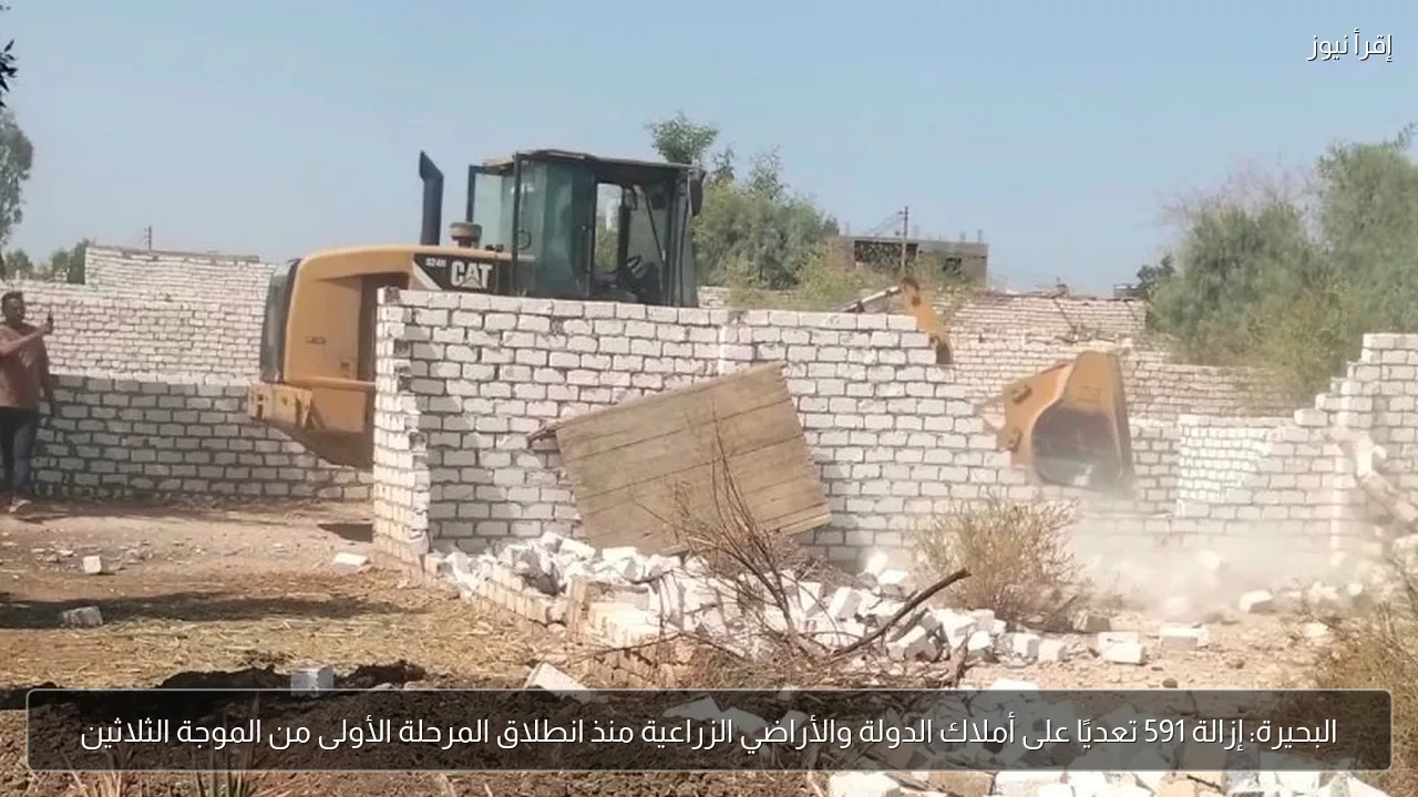 البحيرة: إزالة 591 تعديًا على أملاك الدولة والأراضي الزراعية منذ انطلاق المرحلة الأولى من الموجة الثلاثين