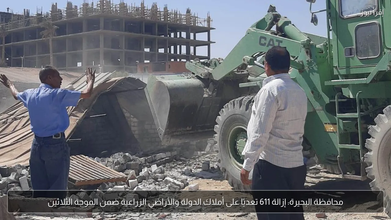 محافظة البحيرة: إزالة 611 تعديًا على أملاك الدولة والأراضي الزراعية ضمن الموجة الثلاثين