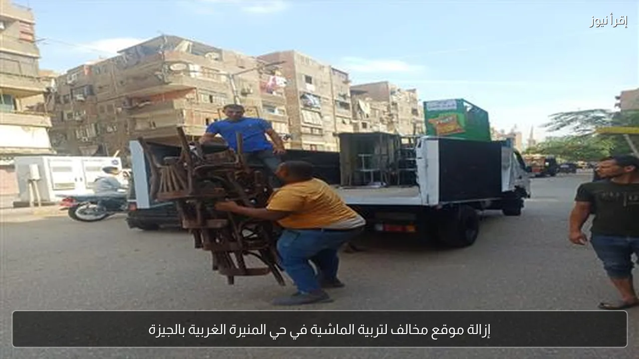 إزالة موقع مخالف لتربية الماشية في حي المنيرة الغربية بالجيزة