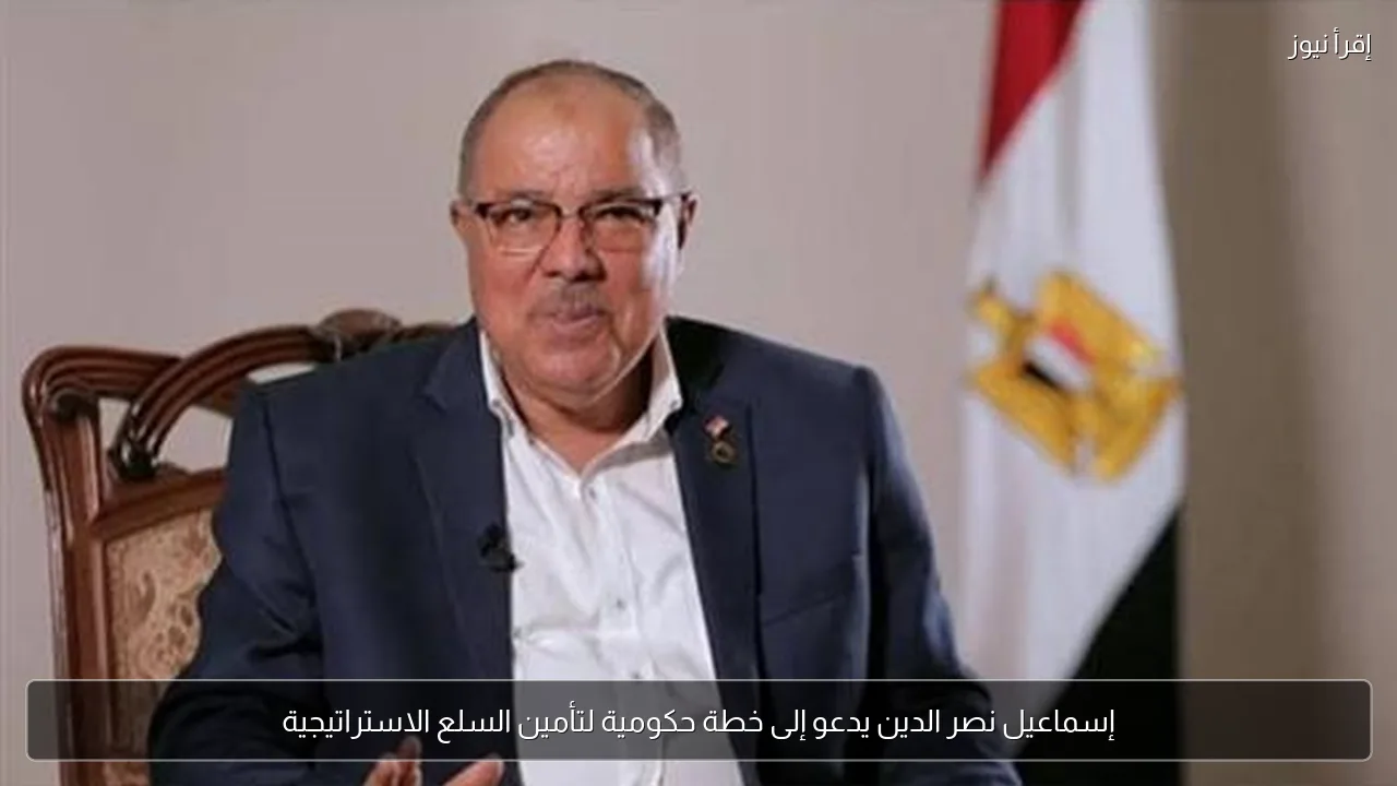 إسماعيل نصر الدين يدعو إلى خطة حكومية لتأمين السلع الاستراتيجية