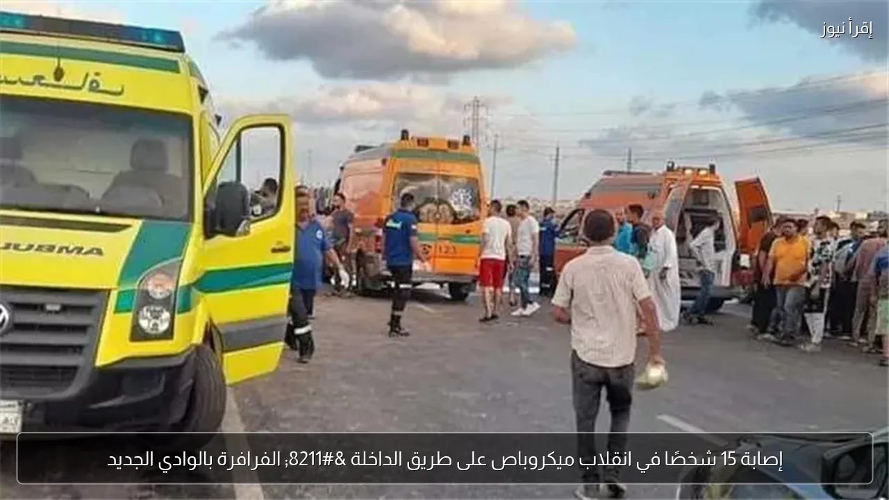 إصابة 15 شخصًا في انقلاب ميكروباص على طريق الداخلة – الفرافرة بالوادي الجديد