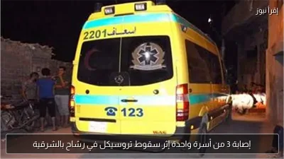 إصابة 3 من أسرة واحدة إثر سقوط تروسيكل في رشاح بالشرقية