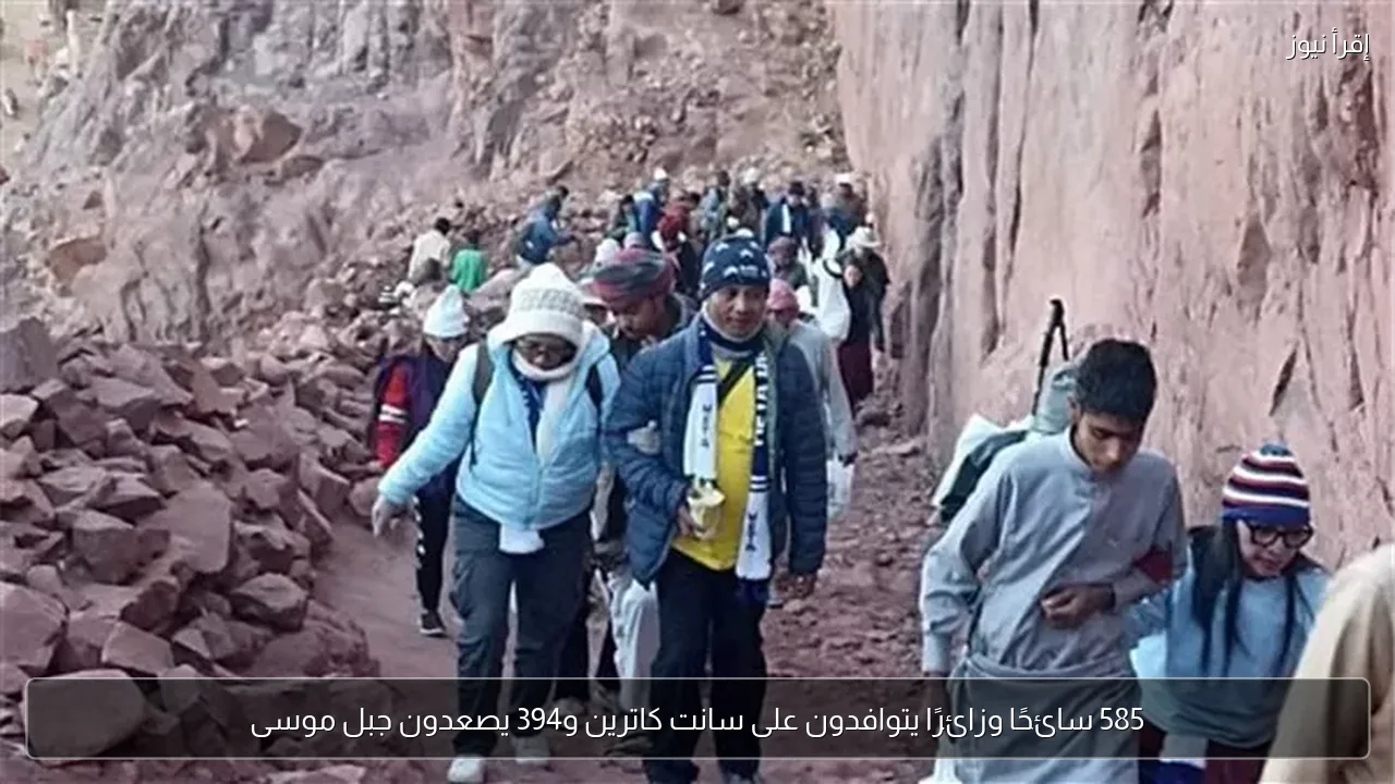 585 سائحًا وزائرًا يتوافدون على سانت كاترين و394 يصعدون جبل موسى