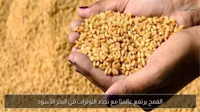 القمح يرتفع عالميًا مع تجدد التوترات في البحر الأسود