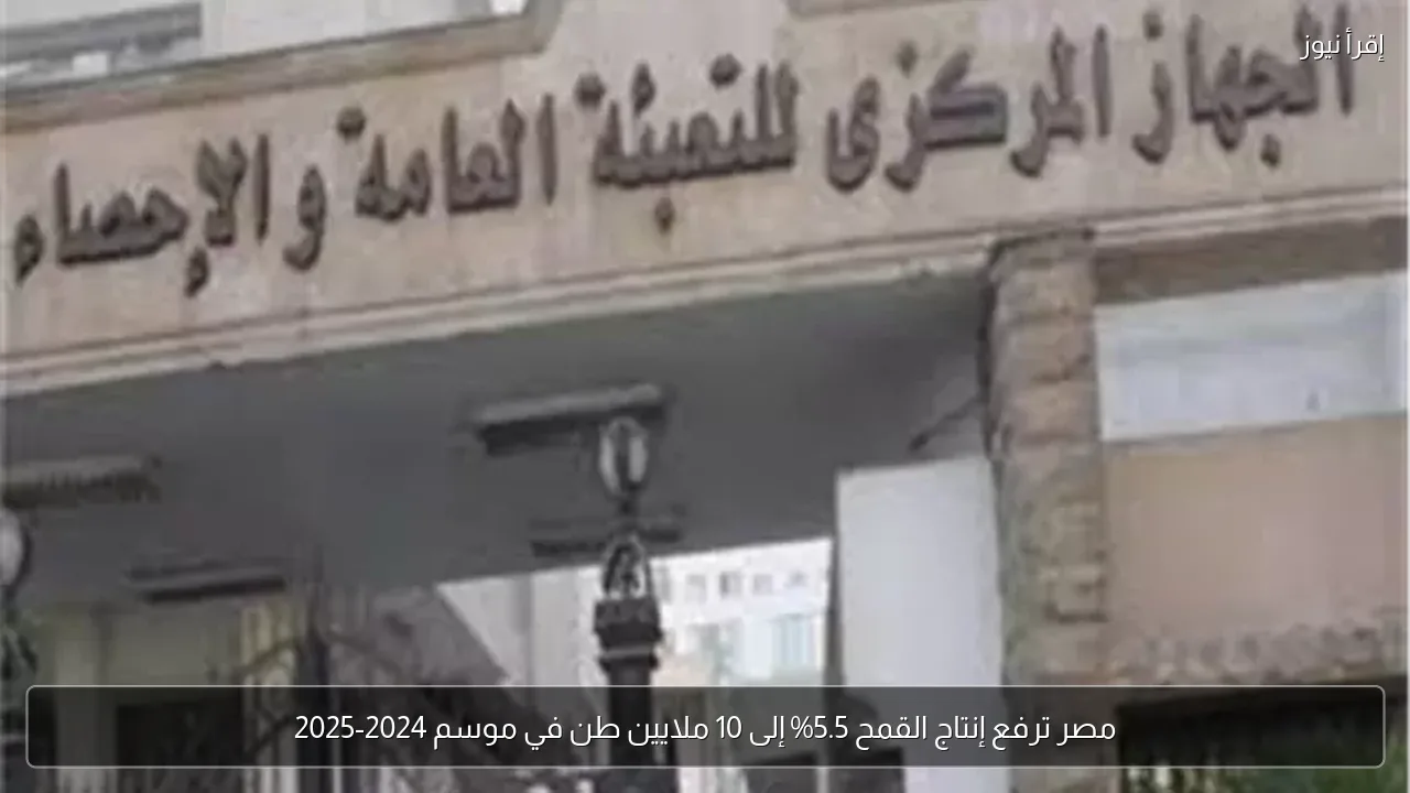 مصر ترفع إنتاج القمح 5.5% إلى 10 ملايين طن في موسم 2024-2025