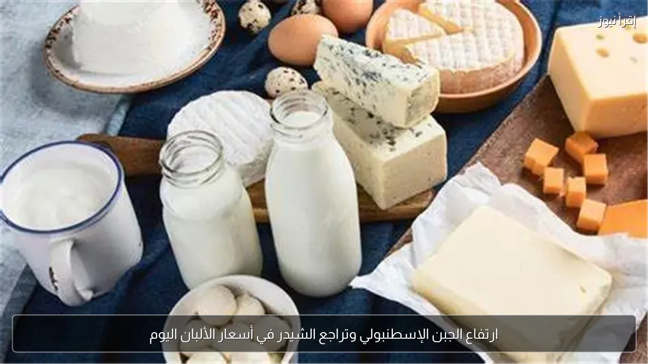ارتفاع الجبن الإسطنبولي وتراجع الشيدر في أسعار الألبان اليوم