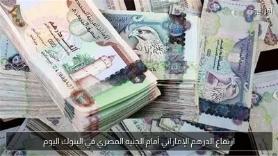 ارتفاع الدرهم الإماراتي أمام الجنيه المصري في البنوك اليوم