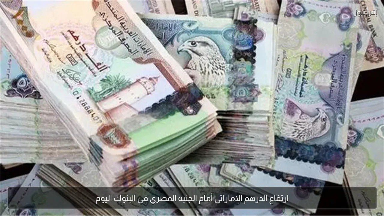 ارتفاع الدرهم الإماراتي أمام الجنيه المصري في البنوك اليوم