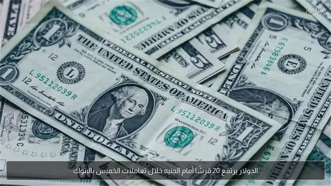 الدولار يرتفع 20 قرشًا أمام الجنيه خلال تعاملات الخميس بالبنوك