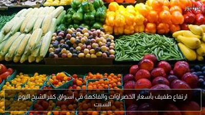 ارتفاع طفيف بأسعار الخضراوات والفاكهة في أسواق كفرالشيخ اليوم السبت