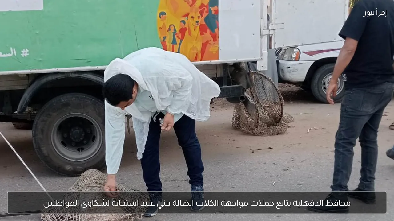 محافظ الدقهلية يتابع حملات مواجهة الكلاب الضالة ببني عبيد استجابةً لشكاوى المواطنين
