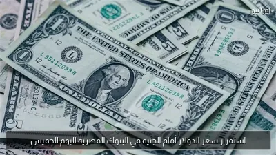 استقرار سعر الدولار أمام الجنيه في البنوك المصرية اليوم الخميس
