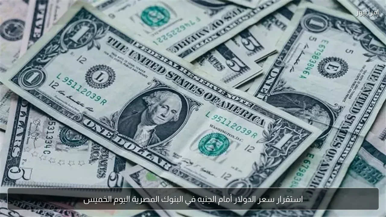 استقرار سعر الدولار أمام الجنيه في البنوك المصرية اليوم الخميس