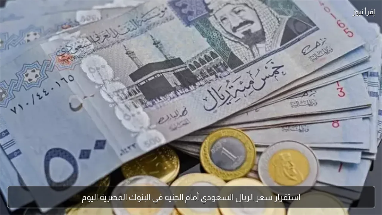 استقرار سعر الريال السعودي أمام الجنيه في البنوك المصرية اليوم