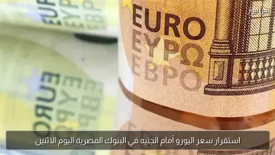 استقرار سعر اليورو أمام الجنيه في البنوك المصرية اليوم الاثنين