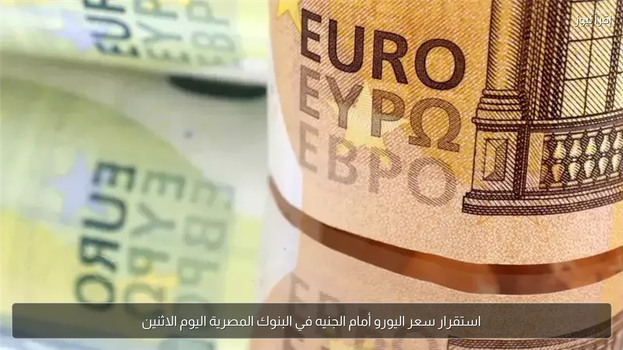 استقرار سعر اليورو أمام الجنيه في البنوك المصرية اليوم الاثنين
