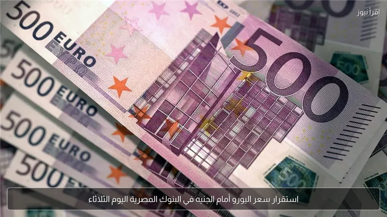 استقرار سعر اليورو أمام الجنيه في البنوك المصرية اليوم الثلاثاء