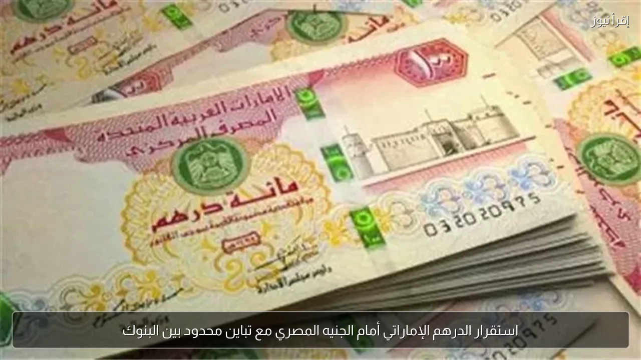 استقرار الدرهم الإماراتي أمام الجنيه المصري مع تباين محدود بين البنوك