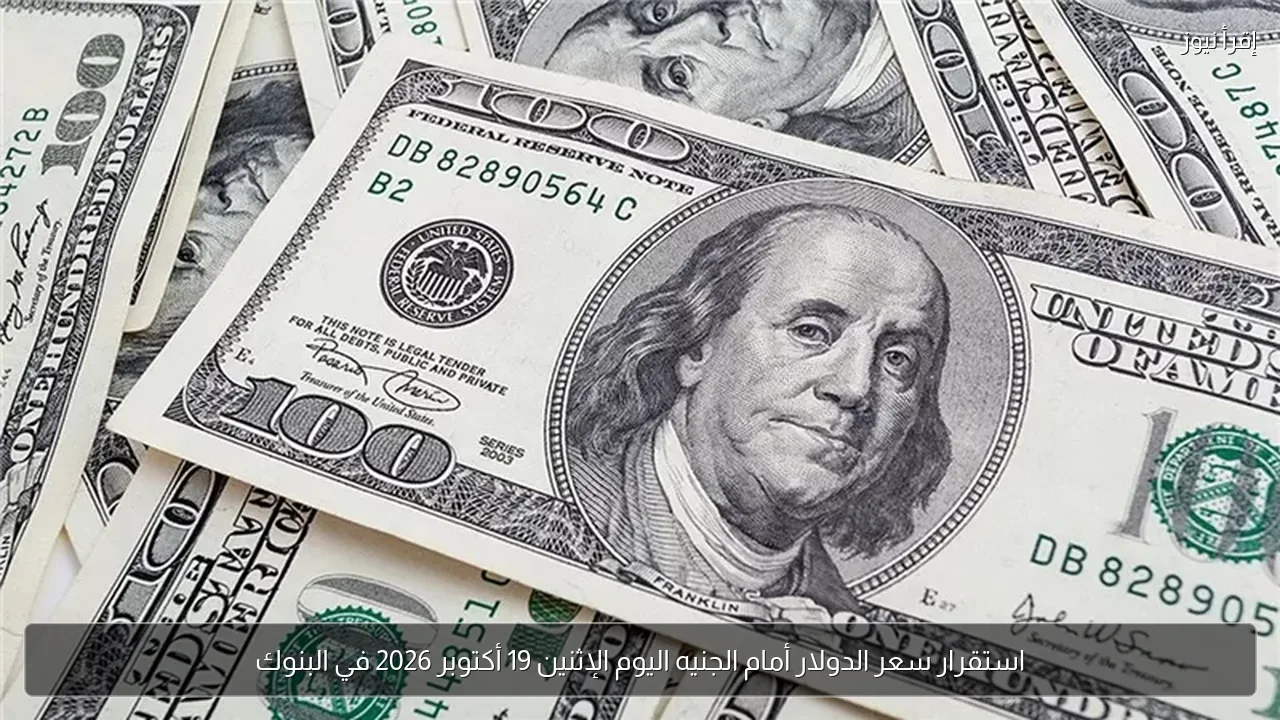 استقرار سعر الدولار أمام الجنيه اليوم الإثنين 19 أكتوبر 2026 في البنوك