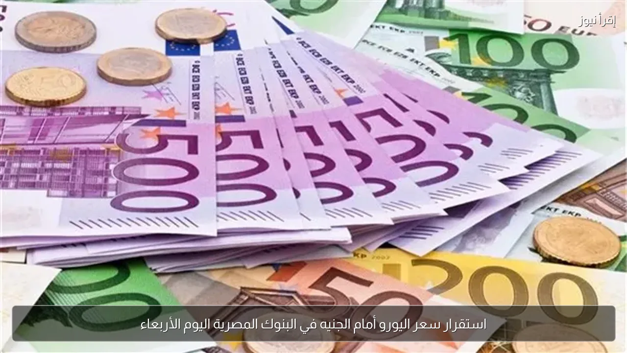 استقرار سعر اليورو أمام الجنيه في البنوك المصرية اليوم الأربعاء