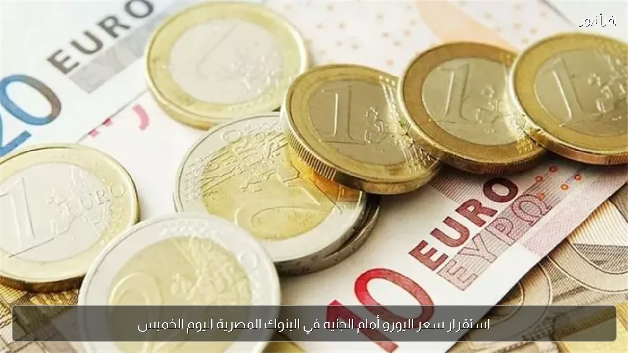 استقرار سعر اليورو أمام الجنيه في البنوك المصرية اليوم الخميس