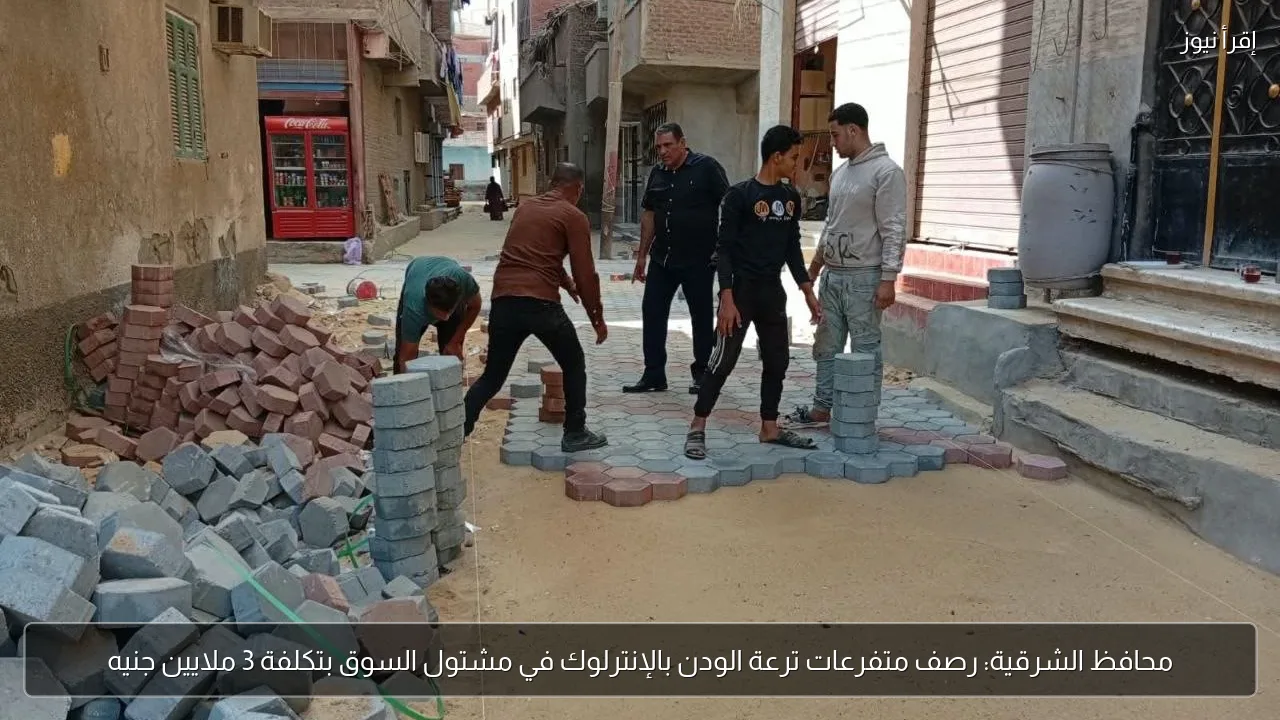 محافظ الشرقية: رصف متفرعات ترعة الودن بالإنترلوك في مشتول السوق بتكلفة 3 ملايين جنيه