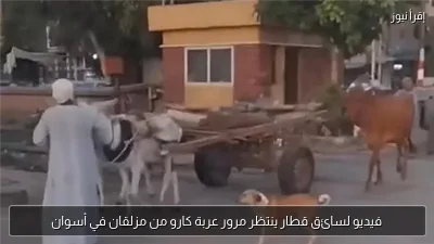 فيديو لسائق قطار ينتظر مرور عربة كارو من مزلقان في أسوان
