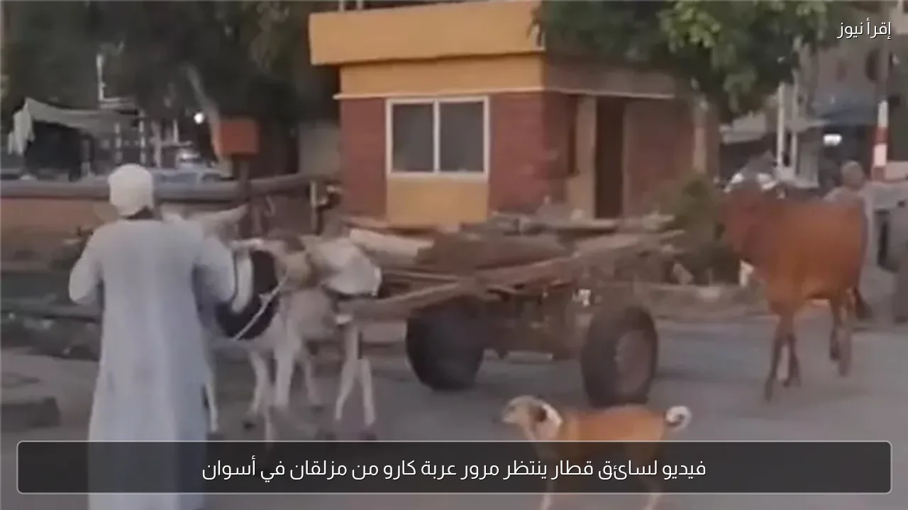 فيديو لسائق قطار ينتظر مرور عربة كارو من مزلقان في أسوان