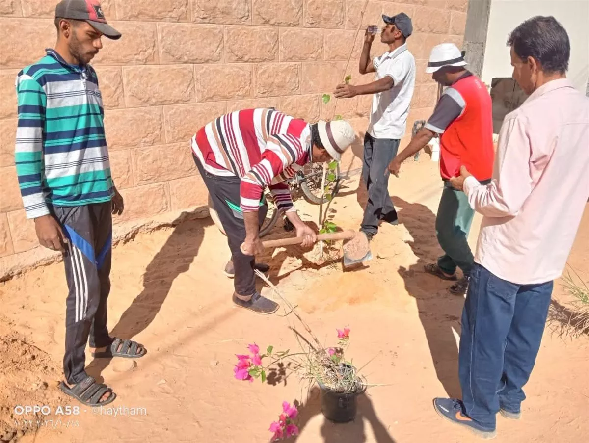 مبادرة بالوادي الجديد لتجميل شوارع موط وزيادة المساحات الخضراء